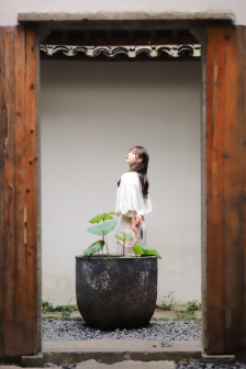 销魂之岛